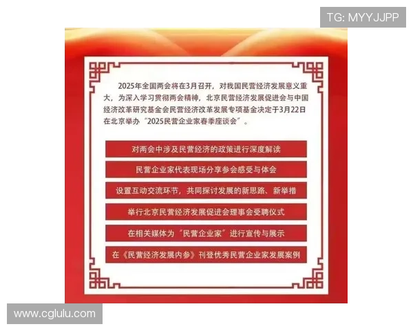 民营企业家的定义与特征探析及其在中国经济中的重要作用